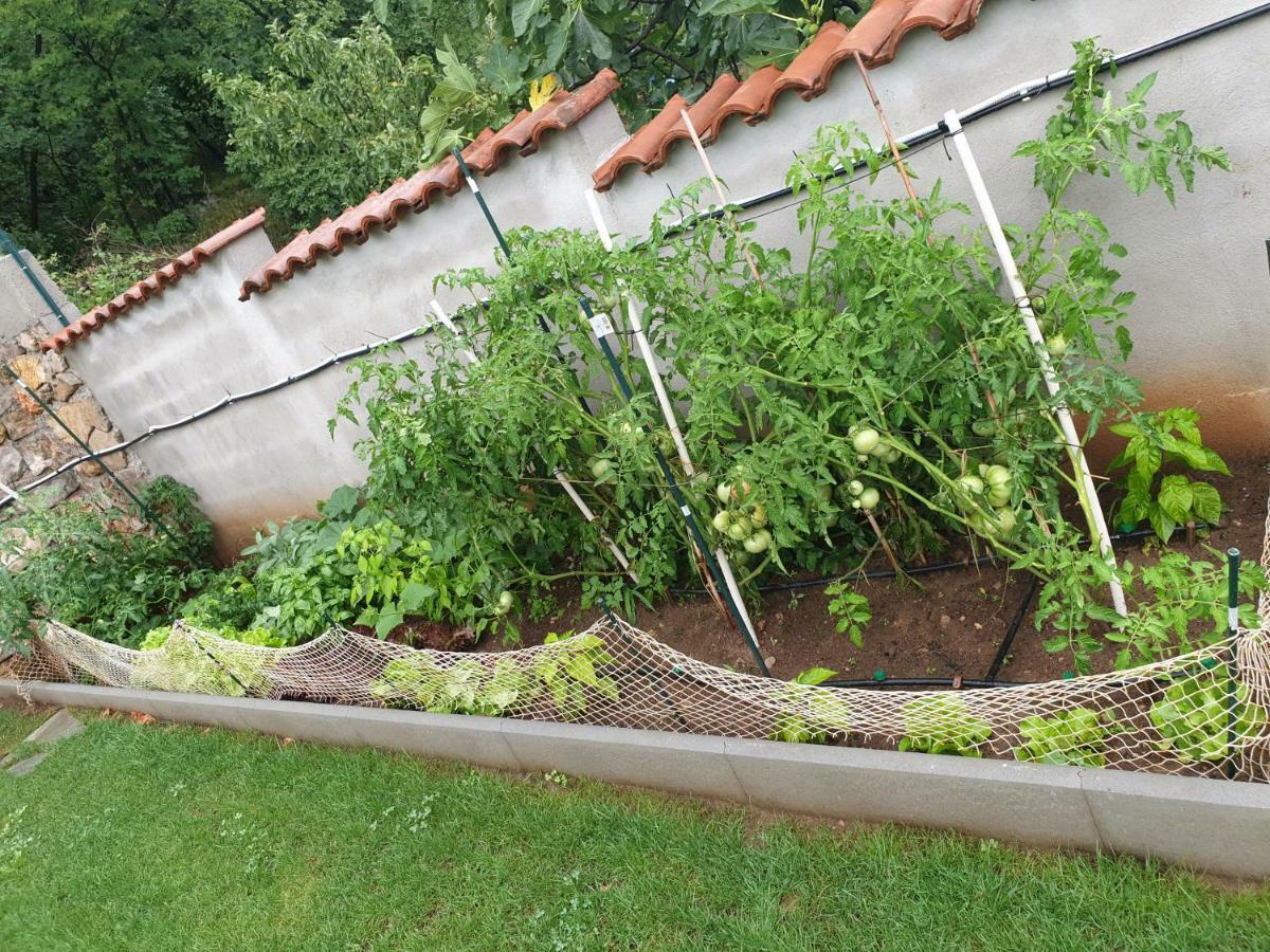 Villa Meri Rijeka Eksteriør billede